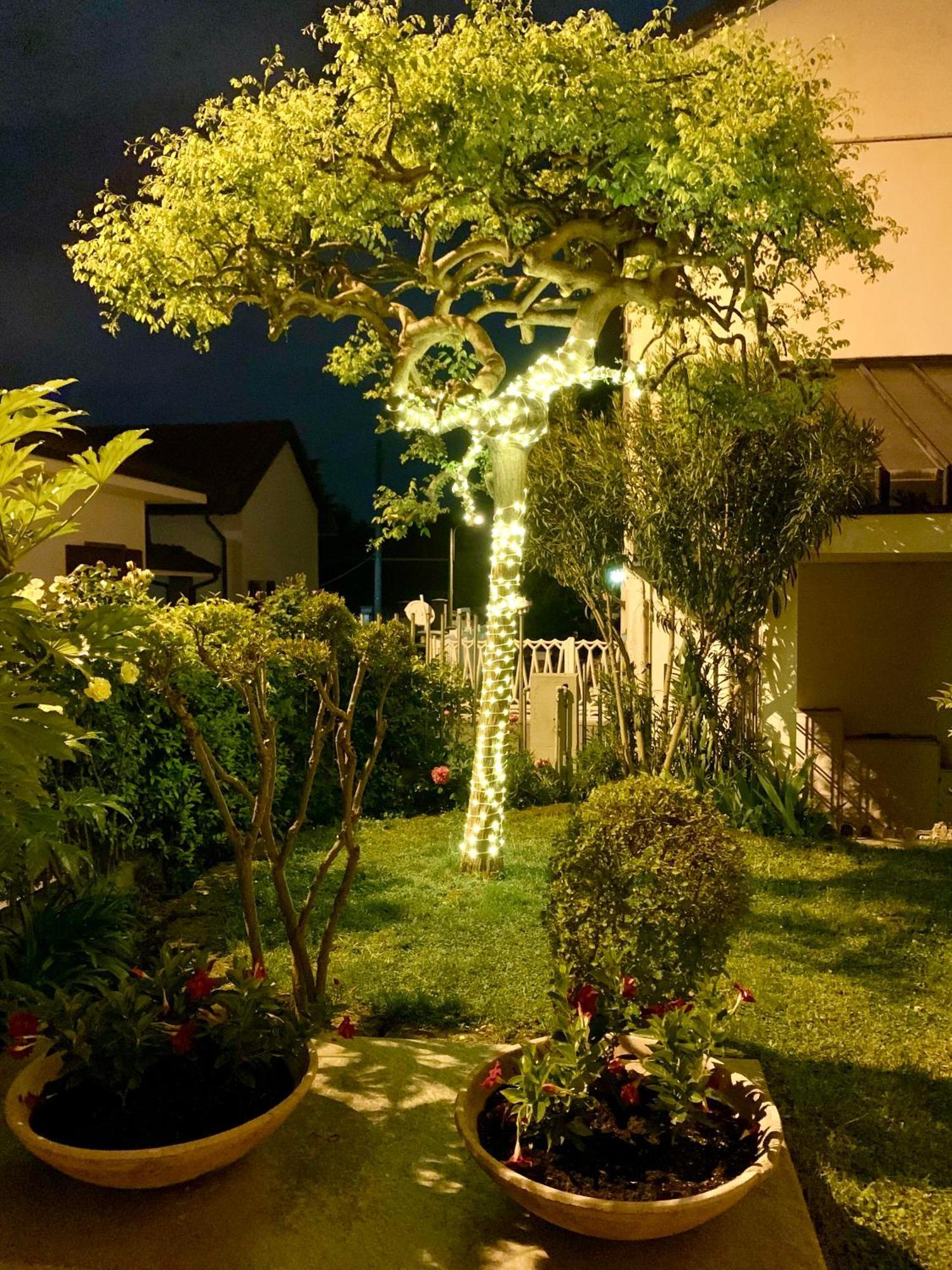 L'Angolo Verde Apartment Μονκαλιέρι Εξωτερικό φωτογραφία